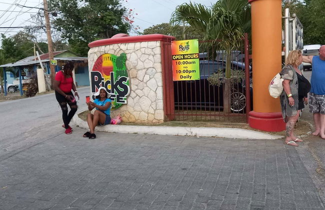 Negril Day Trip - Photo 3