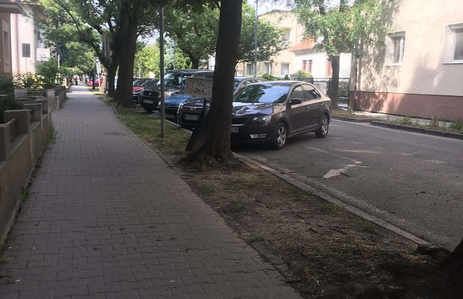 Fukas Apartment Nitra II. - Foto 10