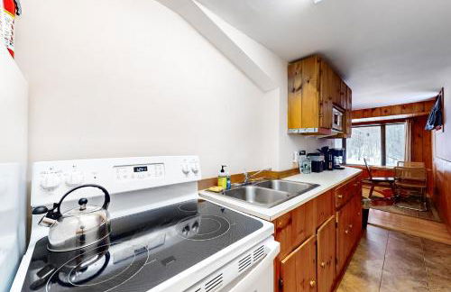 Mt Ellen Minikin - Foto 13