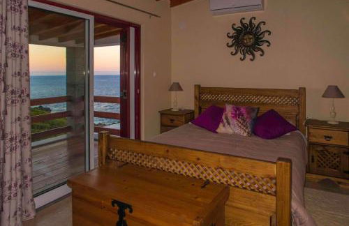 Adega Ninho da Cagarra - Photo 41