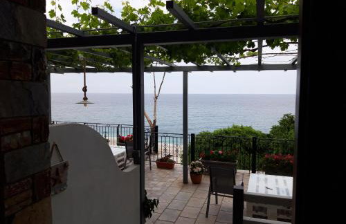 Ammos papanero - Foto 76