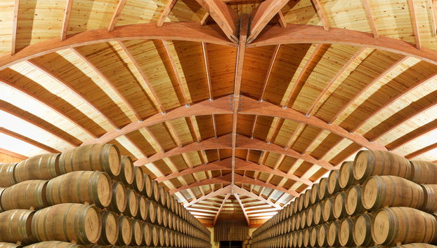 Bodegas Campillo Trip