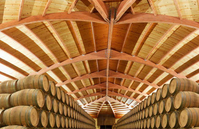 Visita a las bodegas Campillo - Foto 5