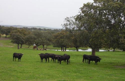 Casa Rural Antonio - Foto 61