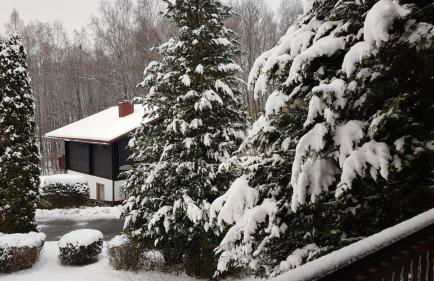 FeWo H.Reußwig - Foto 17