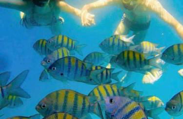 Casa Melo 4 - Foto 50