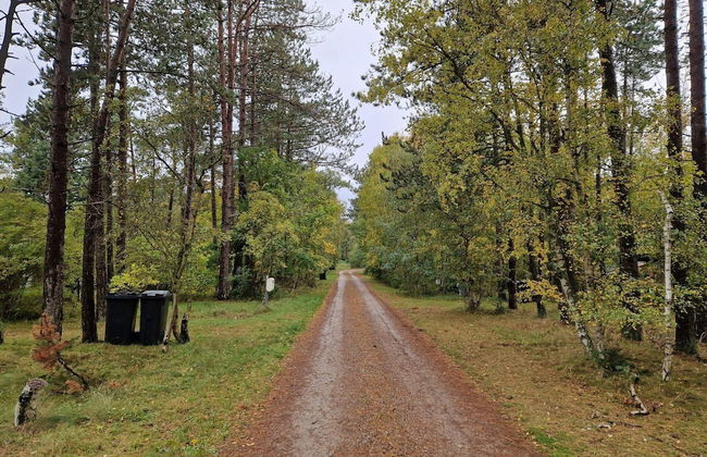 Beachfront Bliss - By Traum Ferienwohnungen - Foto 7