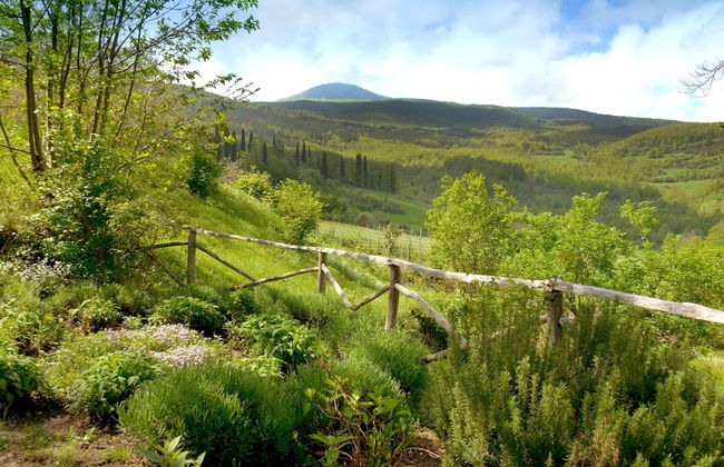Casa dell'Ambasciatore - Foto 33