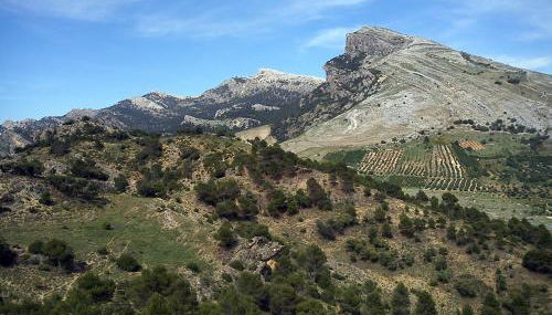 Casa Alcaida - Foto 2