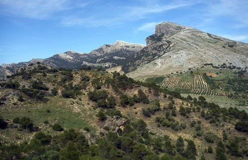 Casa Alcaida - Foto 2