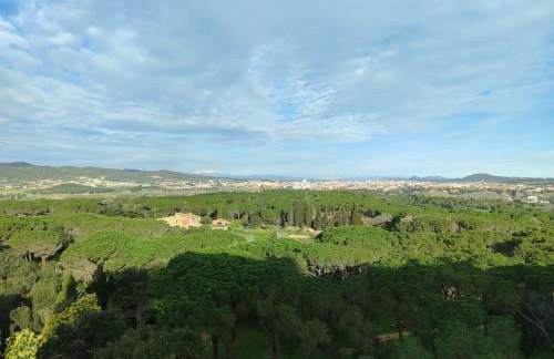 Blue Horizon - Foto 43
