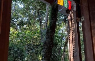 Casa Luna próximo ao Animália Park - Foto 35