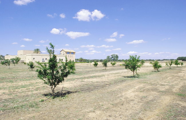 Agriturismo Masseria Galatea - Foto 60