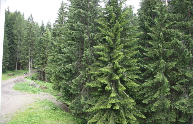 Residence Artuik - Foto 60