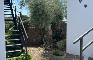 El Gallinero - Foto 67