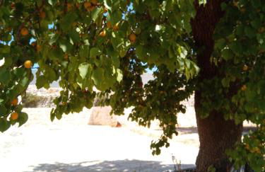 Trulli Lavermicocca - Foto 35