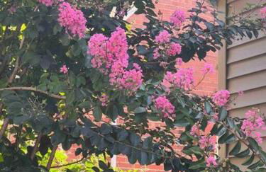 Blue Moon Cottage - Music Room, Inground Pool - Foto 61