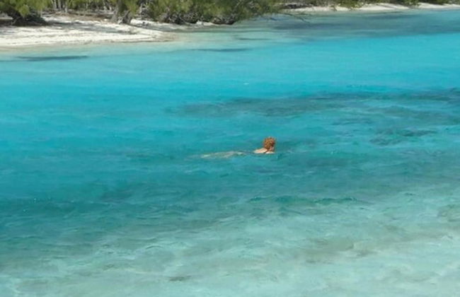 Orange Creek Inn - Foto 30