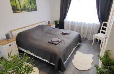 Large Central Apartment - MODERN & Fully Equipped - near fair - Foto 1