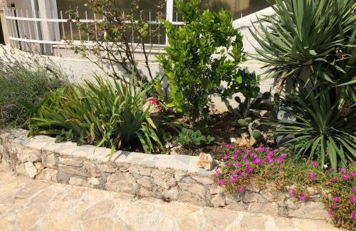 Apartments Zvijezda - Foto 26