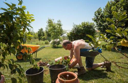 Settecentoalberi Agriturismo - Foto 42