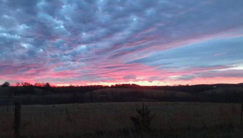 Cabin with a tree house on a buffalo farm . - Foto 4