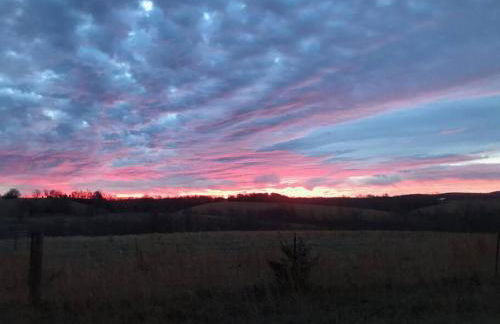 Cabin with a tree house on a buffalo farm . - Foto 4