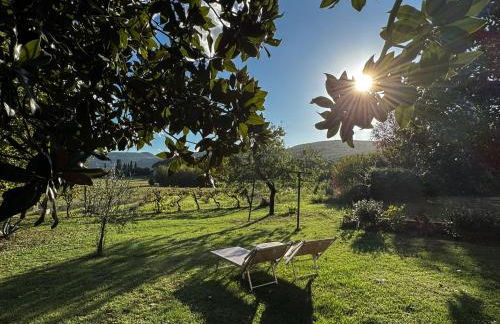 CLAUDIA VACANZA TOSCANA - Appartamento Melograno -10 min da Siena - Foto 31
