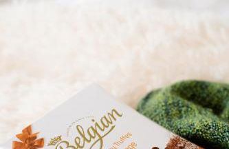 Alt Monjoie - Foto 19