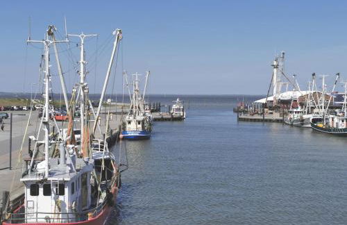 Nordsee Gulfhof 2 mit Garten Dornum 60 qm - Foto 24