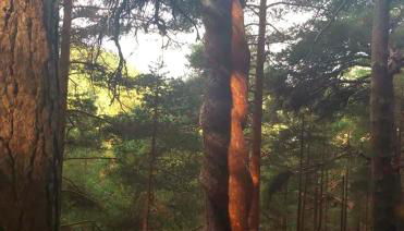 La Casita De La Montaña - Foto 2