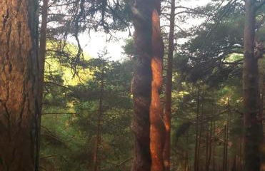 La Casita De La Montaña - Foto 2