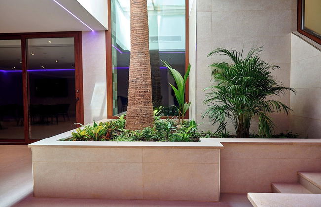 Apartamentos Ponent - Foto 75