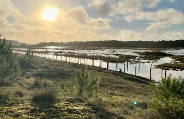 SAS Vac Appart - Photo 18