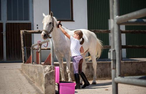 Seehof am Waginger See - Photo 16