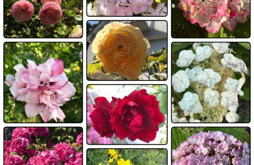 ST MARTIN PLAGE - Foto 8