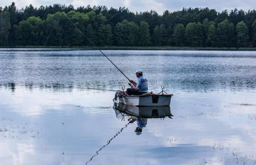 Agroturystyka na wsi w borach tucholskich - Foto 7