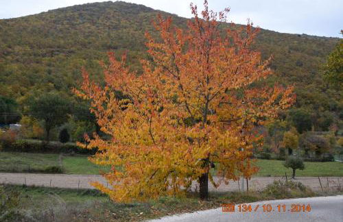 Casa Galoppa - Foto 35