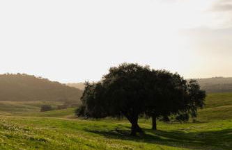 Alàpega, Live Slow - Photo 35