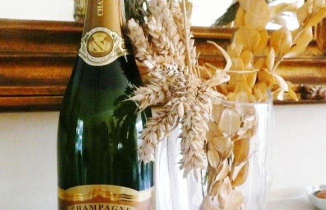 Nébuleuse - Foto 21