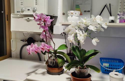 Casa-Nova Centro - Foto 41