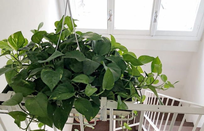 Umberty House - Foto 11