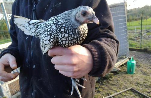 Bienvenue à La Sélinière ! - Foto 25