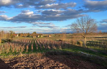 Oasis tout confort à Bergheim, Alsace - Foto 21