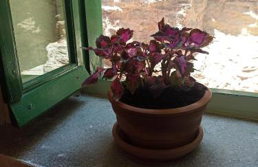 Hidesign Athens Traditional Stone House in Kea's Port - Foto 29