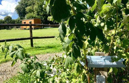 Vue Poneys, 40min Mt St Michel 30min Mer Draps Serviettes Baie Normandie Cottage - Foto 35