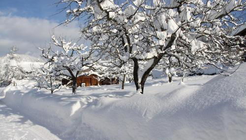 Chalet Menkenhof - Foto 4