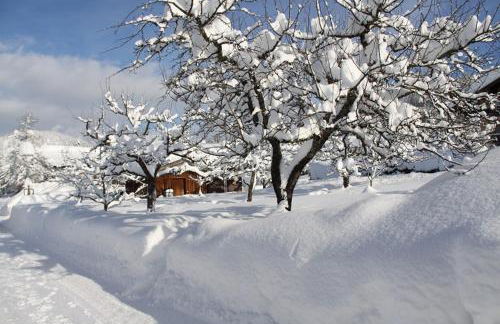 Chalet Menkenhof - Foto 4