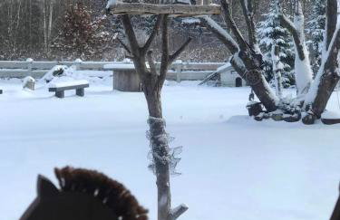 Zagroda w Puszczy - Photo 46