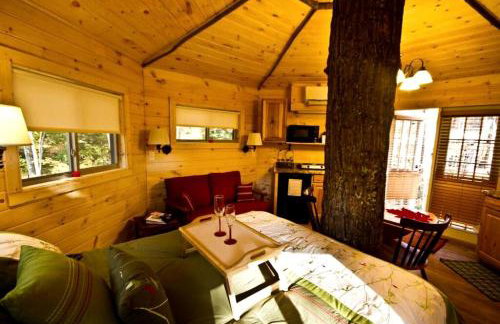 Stunning Tree House Rental in the Forest near Beckley, West Virginia - Foto 13